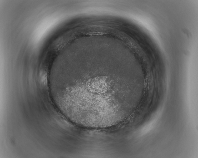 X0000112860146200910021319