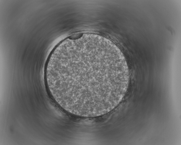 X0000112860148200910021319