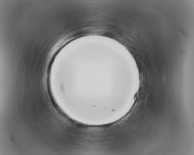 X0000112860150200910021319