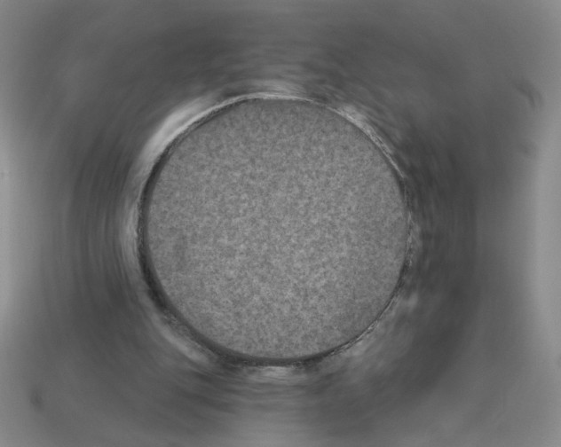 X0000112860151200910021319