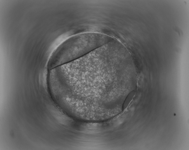 X0000112860152200910021319