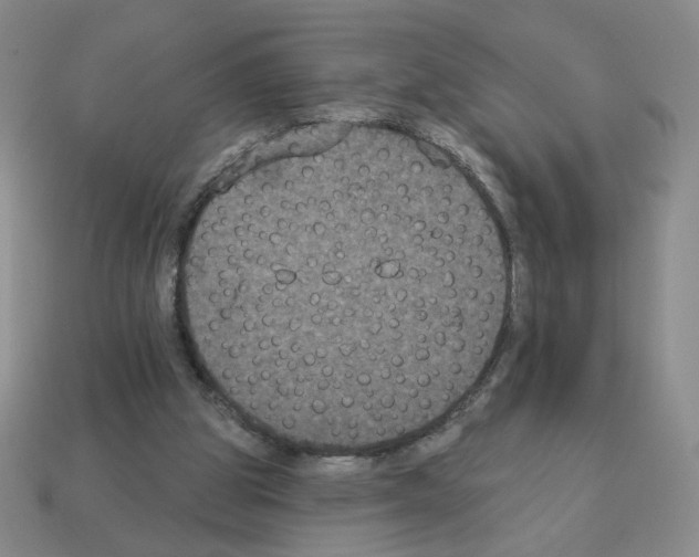 X0000112860153200910021319