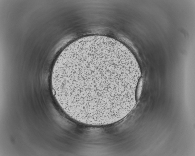X0000112860154200910021319