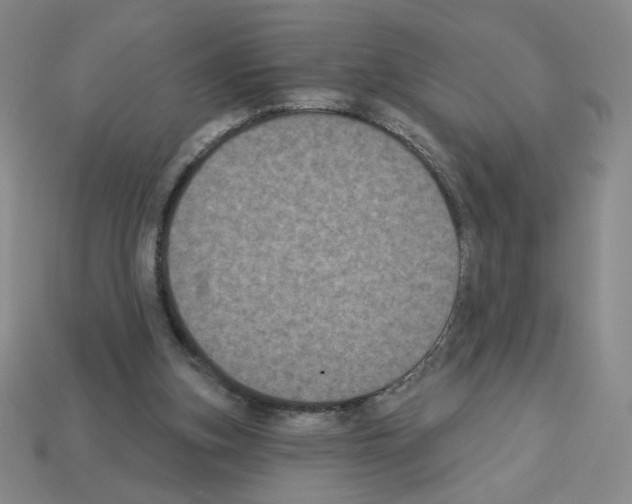 X0000112860155200910021319