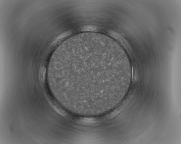X0000112860157200910021319