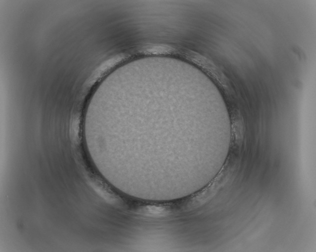 X0000112860159200910021319