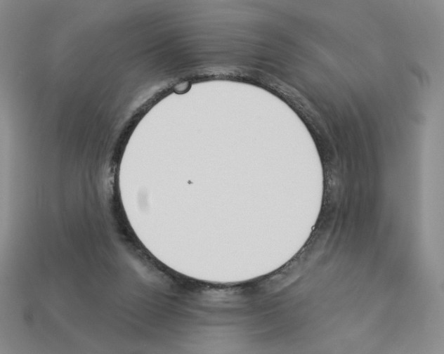 X0000112860160200910021319