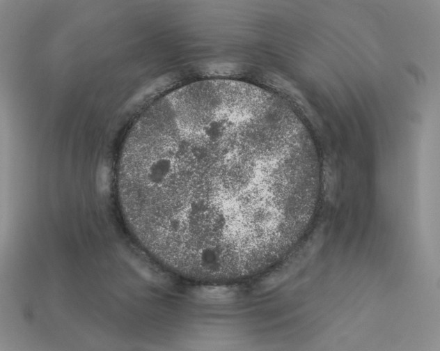 X0000112860161200910021319