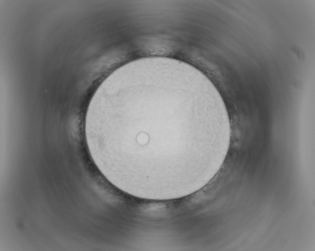 X0000112860162200910021319