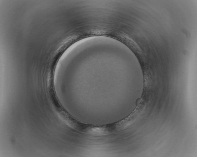 X0000112860163200910021319