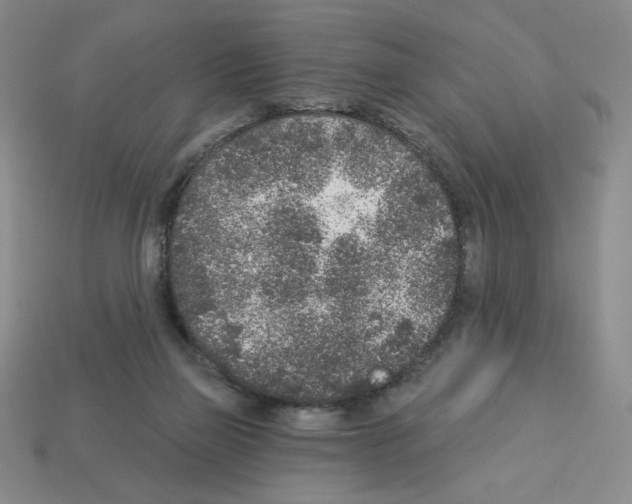 X0000112860165200910021319