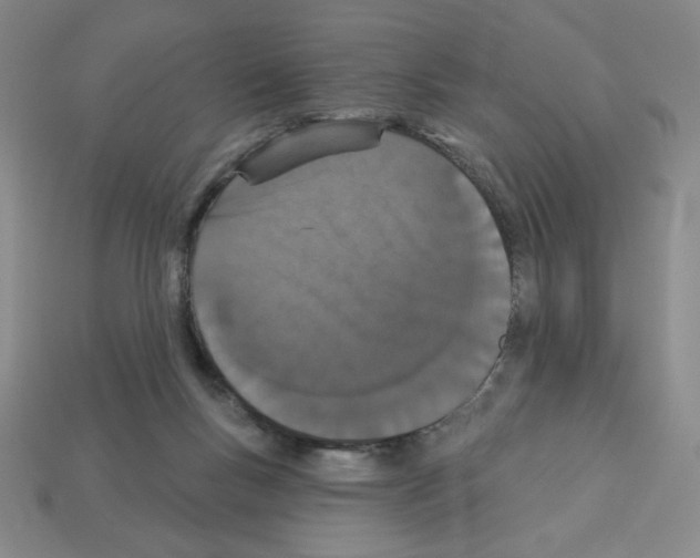 X0000112860167200910021319
