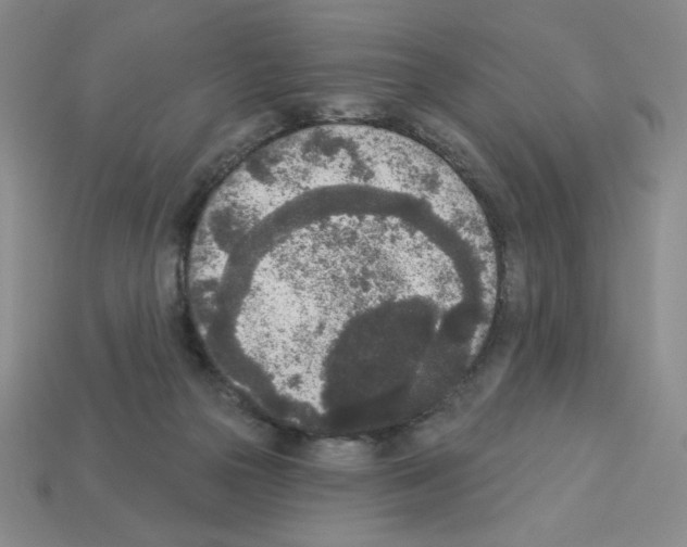 X0000112860169200910021319