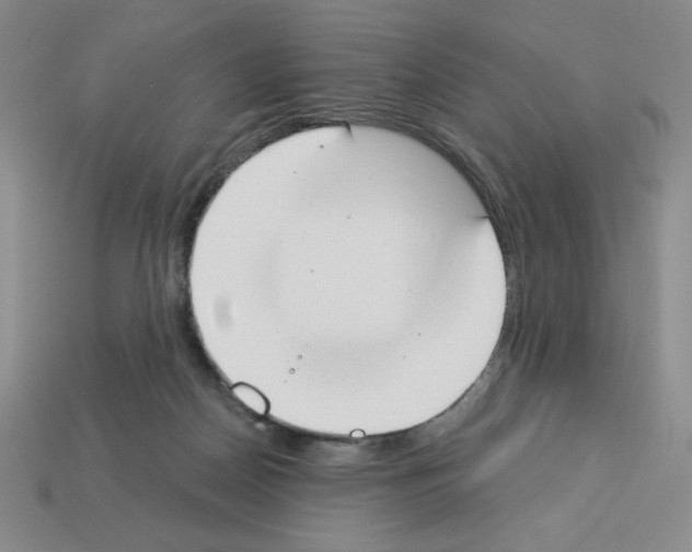 X0000112860170200910021319