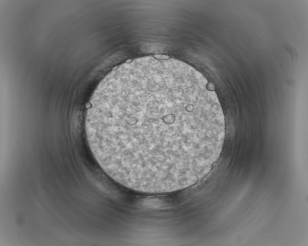 X0000112860171200910021319