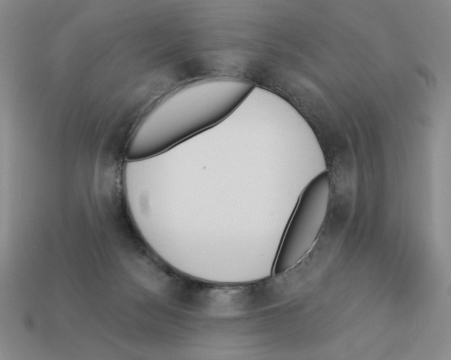 X0000112860172200910021319
