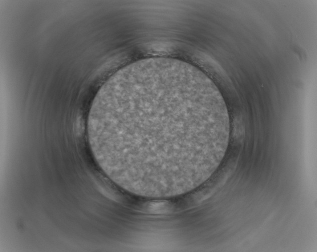 X0000112860173200910021319