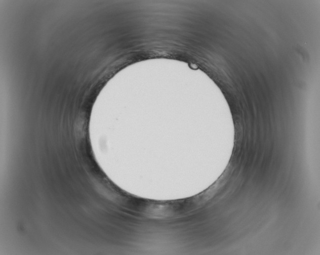 X0000112860174200910021319