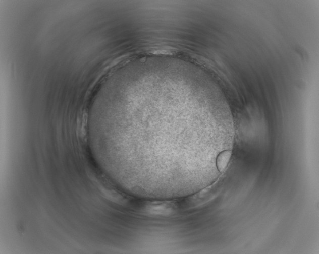 X0000112860175200910021319