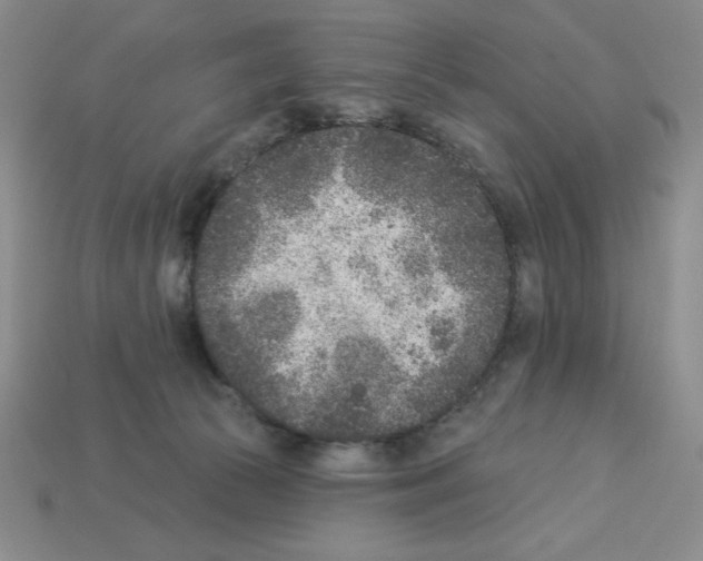 X0000112860177200910021319