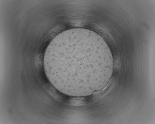 X0000112860179200910021319