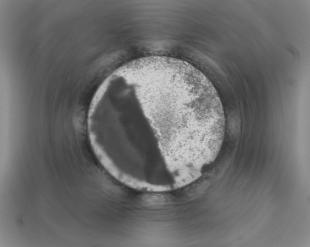 X0000112860181200910021319