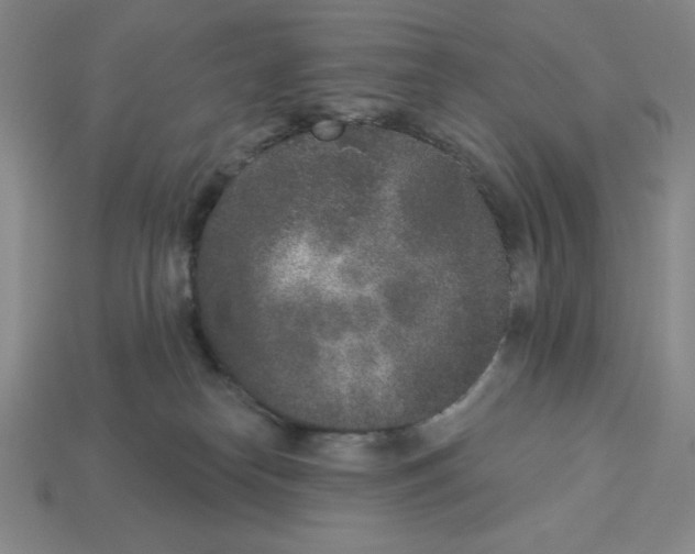 X0000112860182200910021319