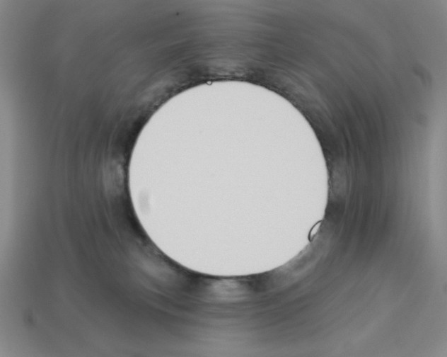 X0000112860183200910021319