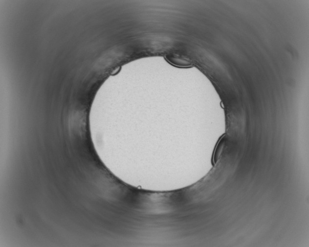 X0000112860184200910021319