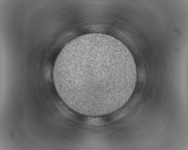 X0000112860185200910021319