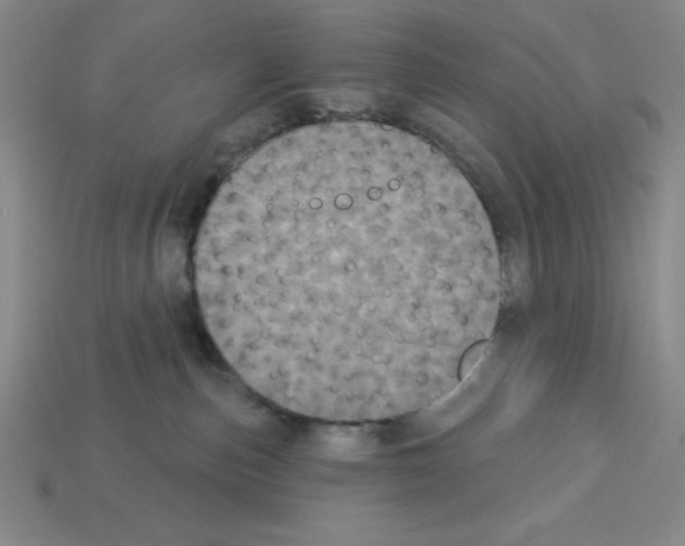 X0000112860187200910021319