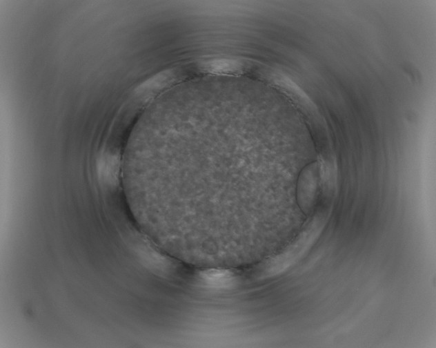 X0000112860189200910021319