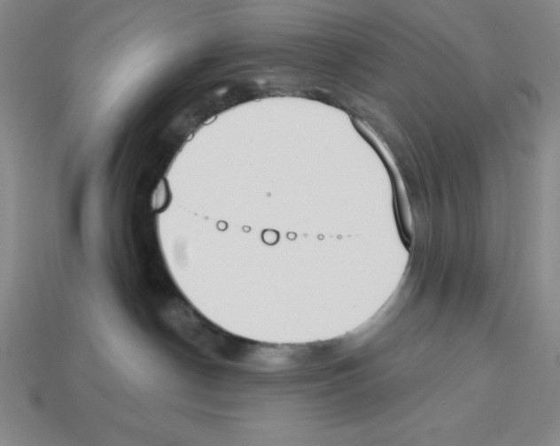 X0000112860190200910021319