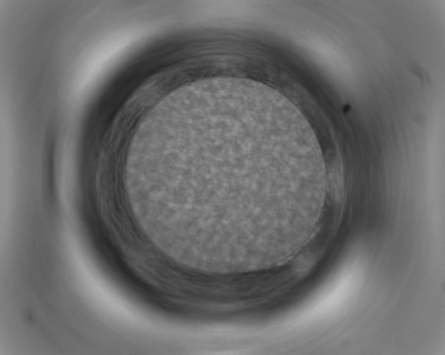 X0000112860191200910021319