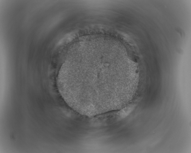 X0000112860192200910021319