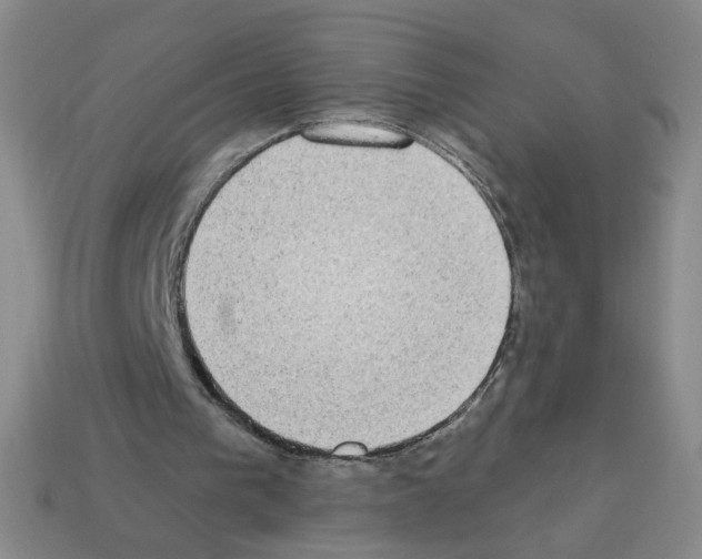 X0000112860193200910021319
