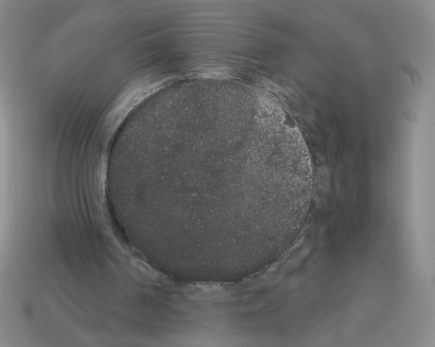 X0000112860194200910021319