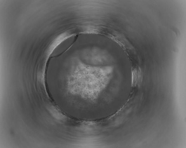 X0000112860195200910021319
