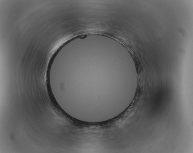 X0000112860196200910021319
