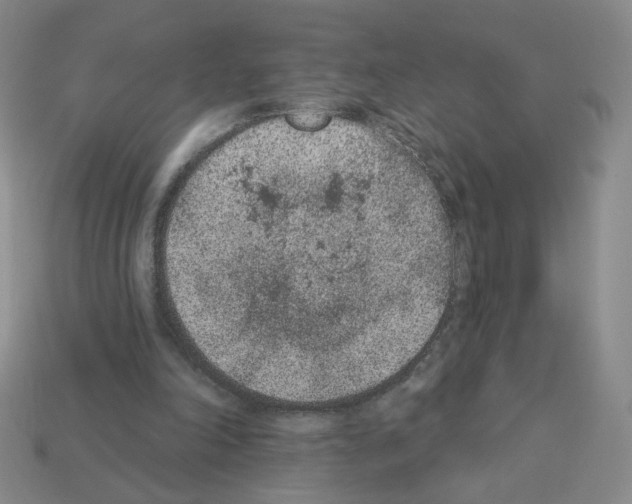 X0000112860198200910021319