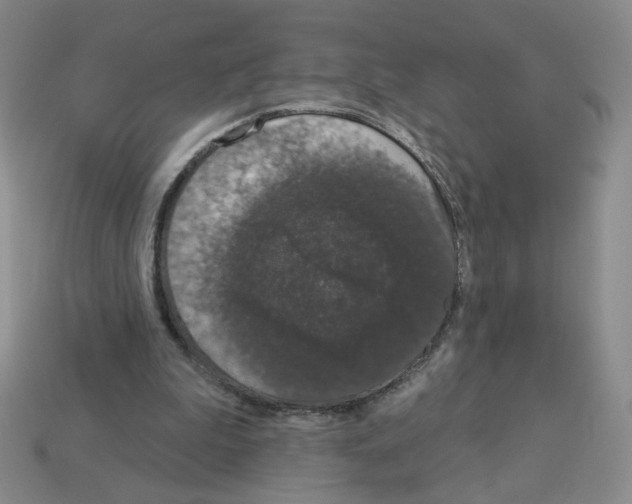 X0000112860199200910021319
