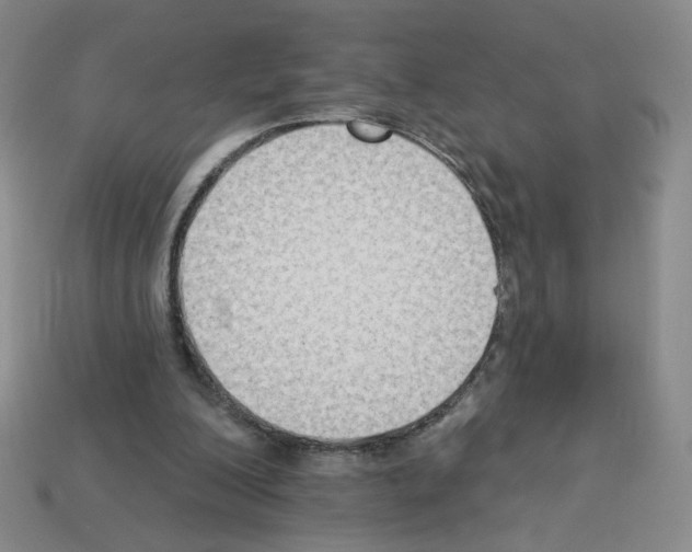 X0000112860200200910021319
