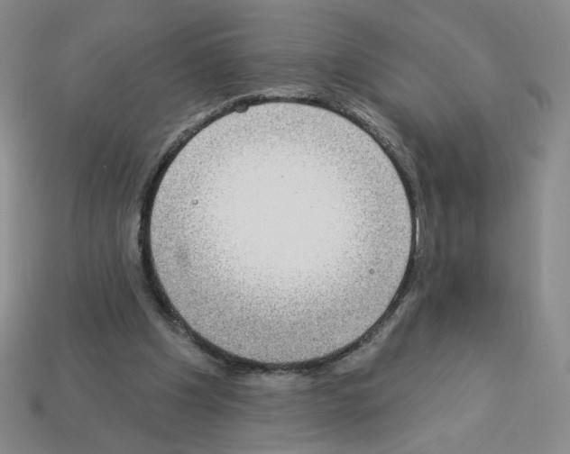 X0000112860201200910021319