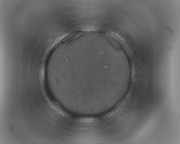 X0000112860202200910021319