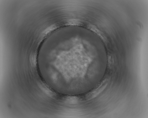 X0000112860203200910021319