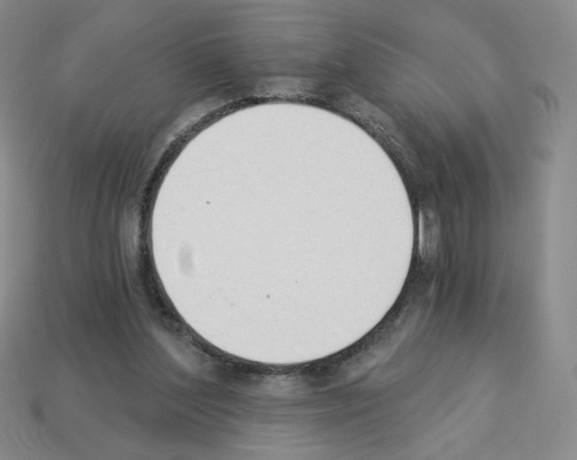 X0000112860204200910021319