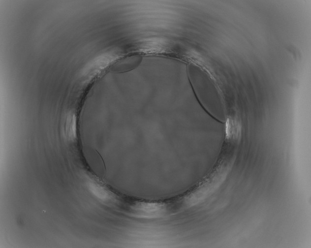 X0000112860205200910021319