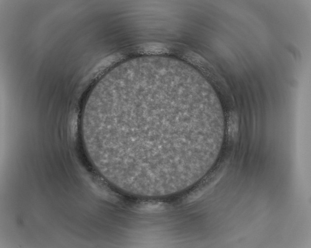 X0000112860206200910021319