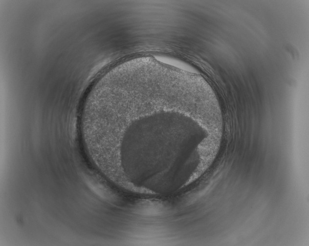 X0000112860207200910021318