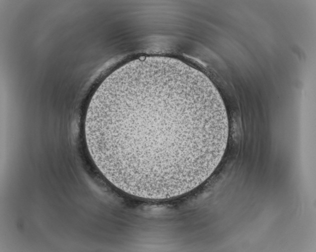X0000112860208200910021318